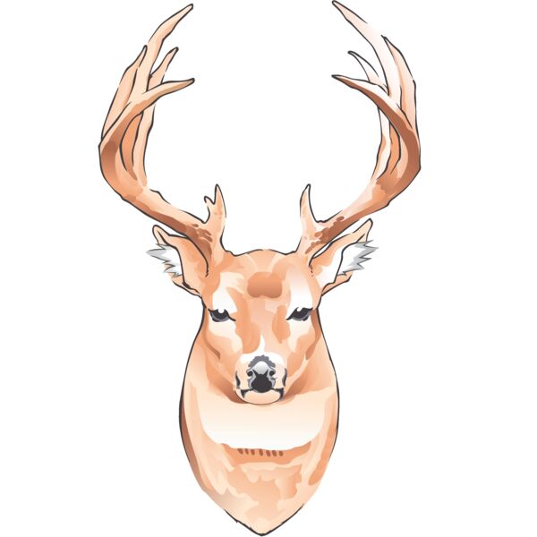 PG67410 Miniaturansicht