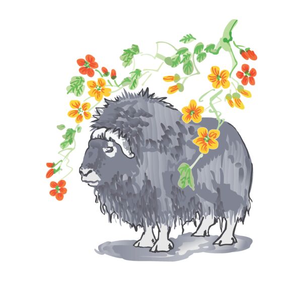 PG69947 Miniaturansicht