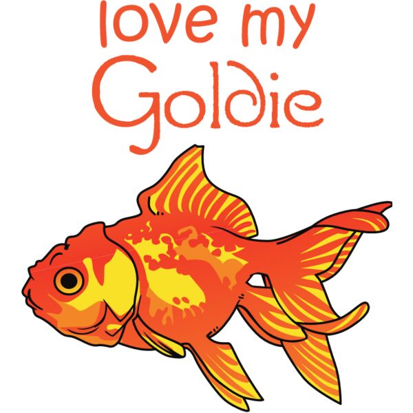 PG67648 Miniaturansicht