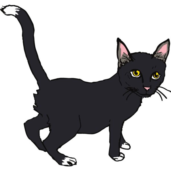 PG67476 Miniaturansicht