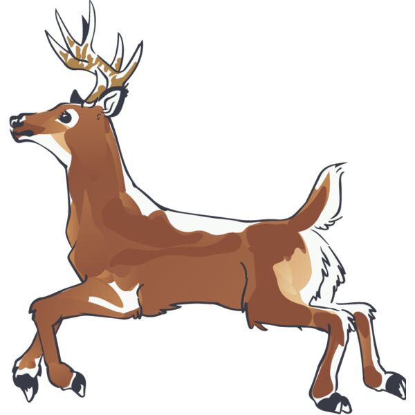 PG76647 Miniaturansicht