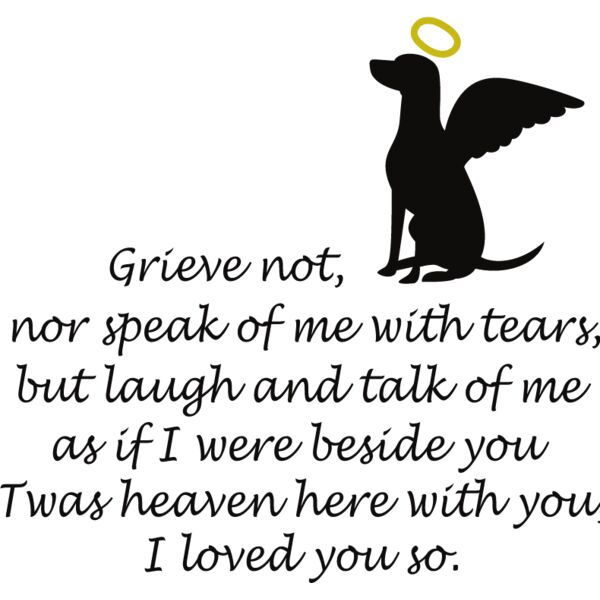 PG63445 Miniaturansicht