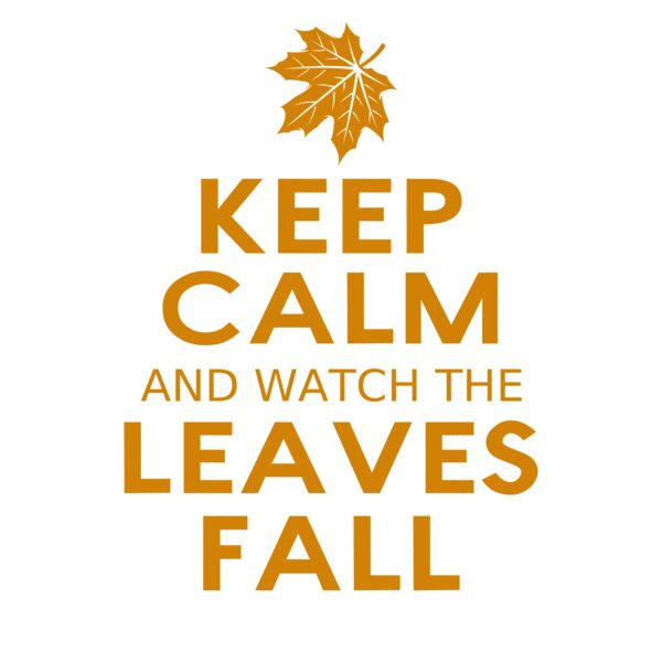 Fall Season 04 Miniaturansicht