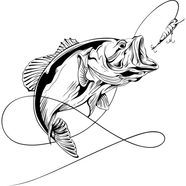 Vektor 10   Miniaturansicht