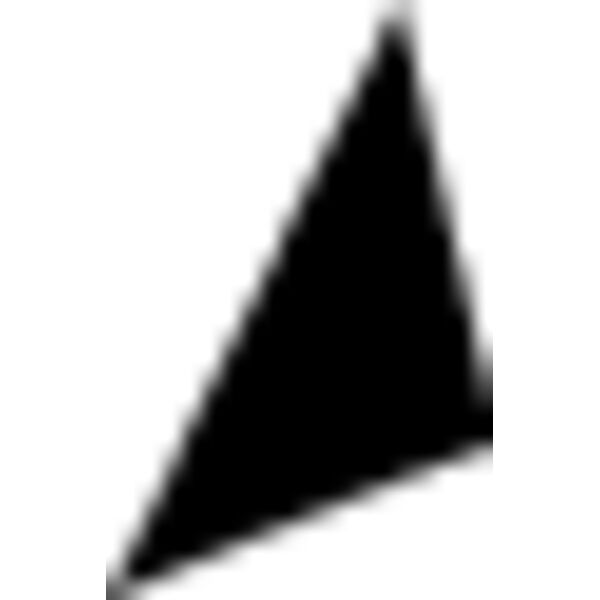 Form 165 Miniaturansicht