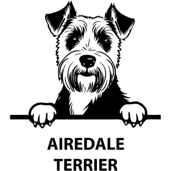 airedale terrier  Miniaturansicht