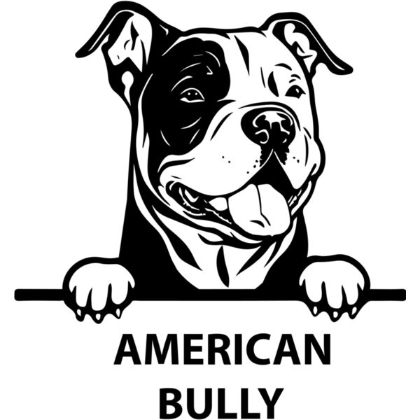 american bully  Miniaturansicht
