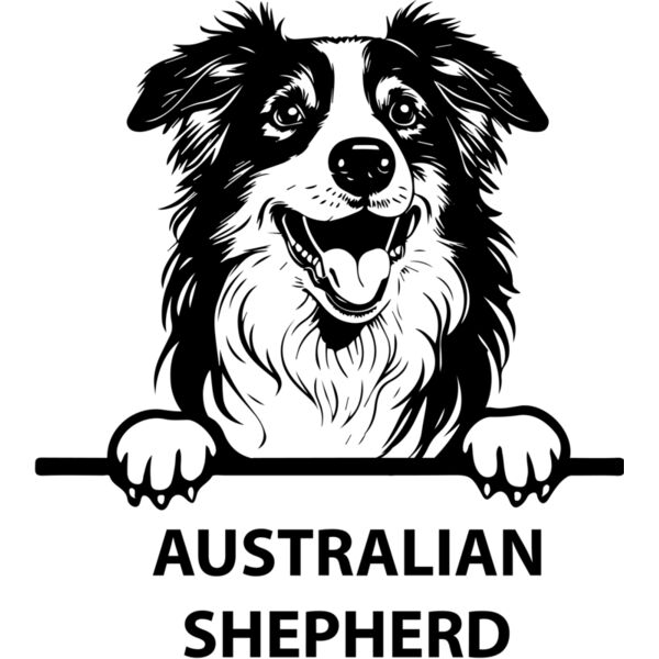 australian shepherd  Miniaturansicht