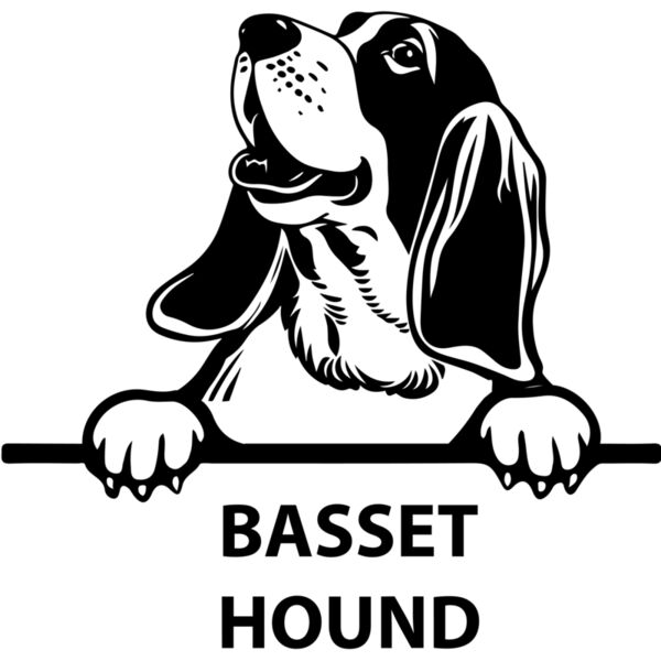 basset hound  Miniaturansicht