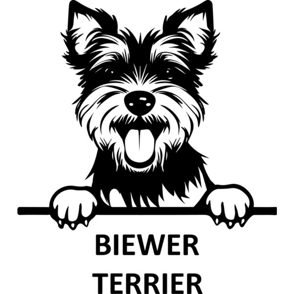 biewer terrier  Miniaturansicht