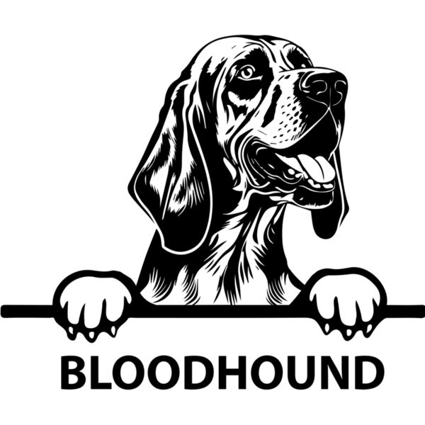bloodhound  Miniaturansicht