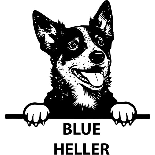 blue heller  Miniaturansicht