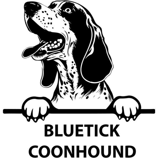 bluetick coonhound  Miniaturansicht