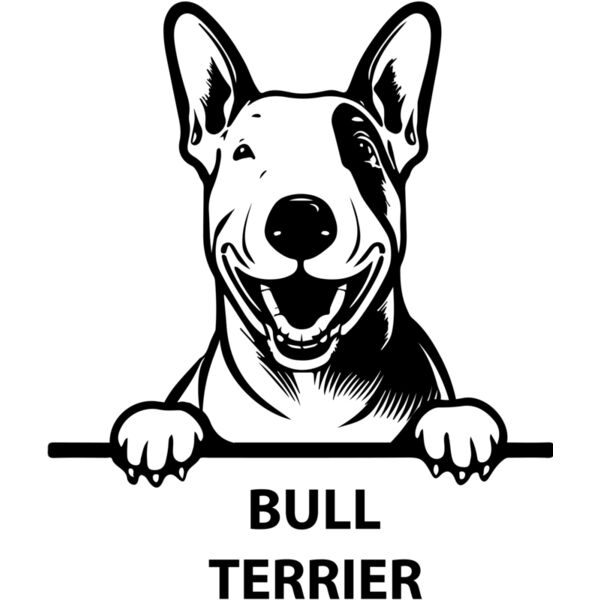 bull terrier  Miniaturansicht