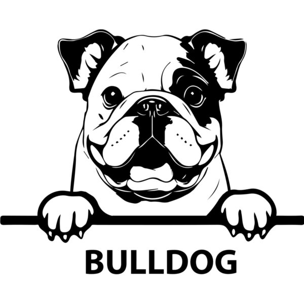 bulldog 1  Miniaturansicht