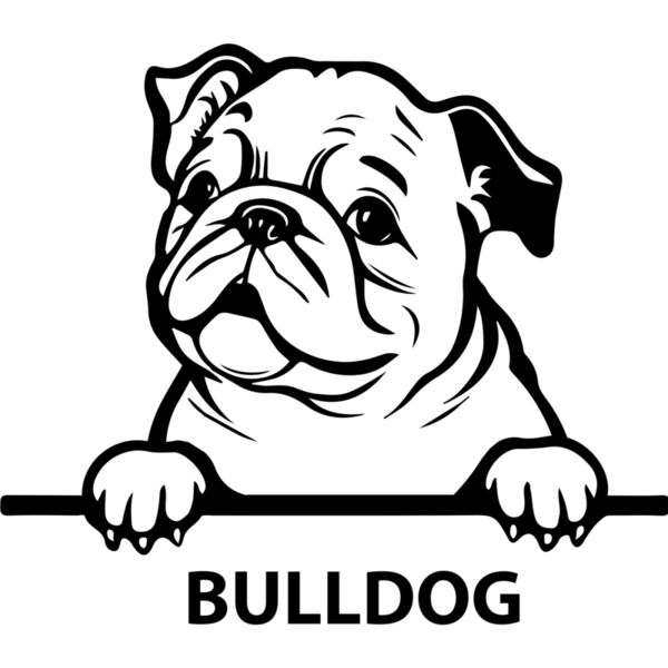 bulldog 2  Miniaturansicht
