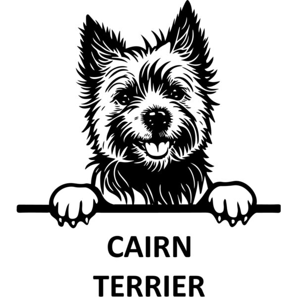 cairn terrier  Miniaturansicht