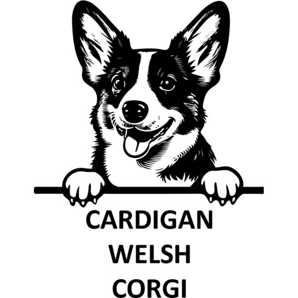 cardigan welsh corgi  Miniaturansicht