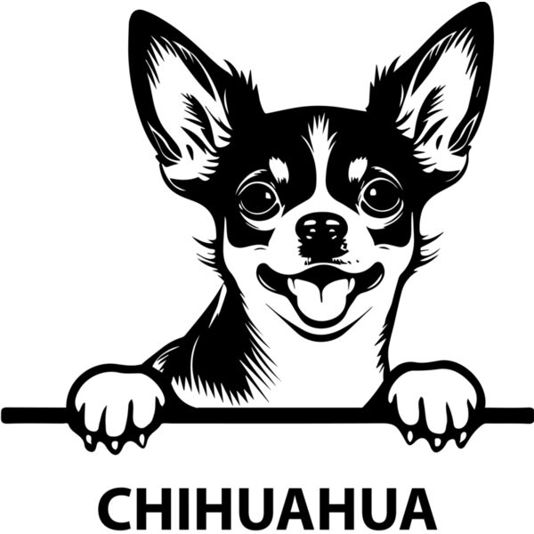 chihuahua  Miniaturansicht