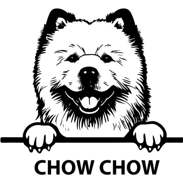 chow chow  Miniaturansicht