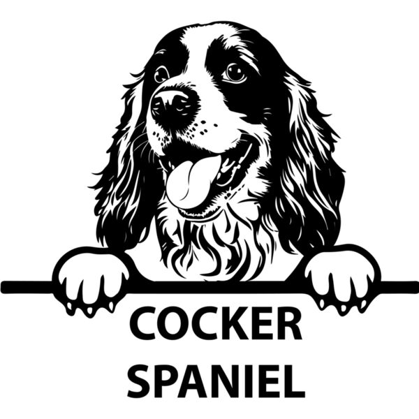 cocker spaniel  Miniaturansicht