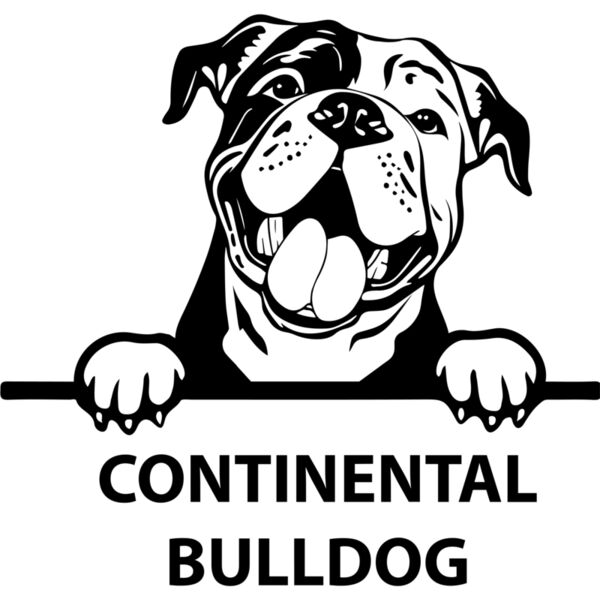 continental bulldog  Miniaturansicht