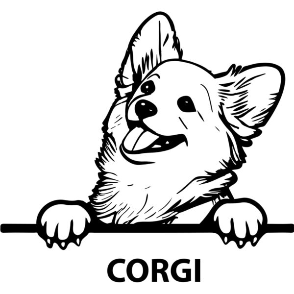 corgi  Miniaturansicht