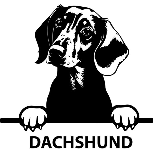 dachshund  Miniaturansicht