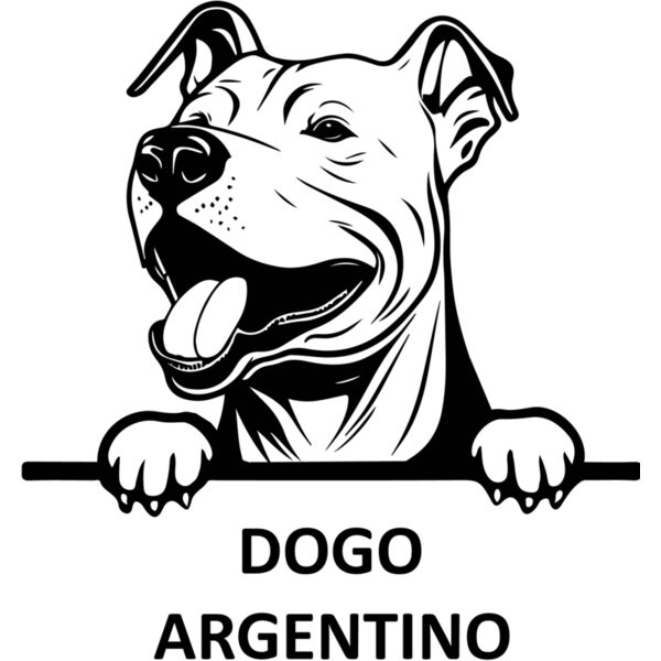 DOGO ARGENTINO 1  Miniaturansicht