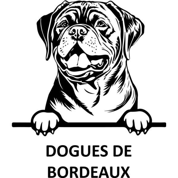 DOGUES DE BORDEAUX  Miniaturansicht