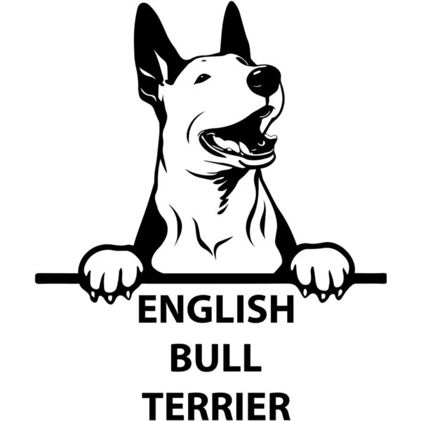english bull terrier  Miniaturansicht