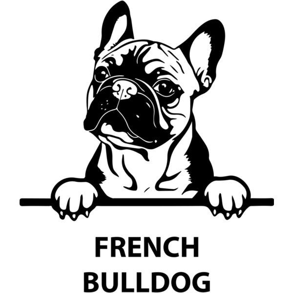 french bulldog  Miniaturansicht