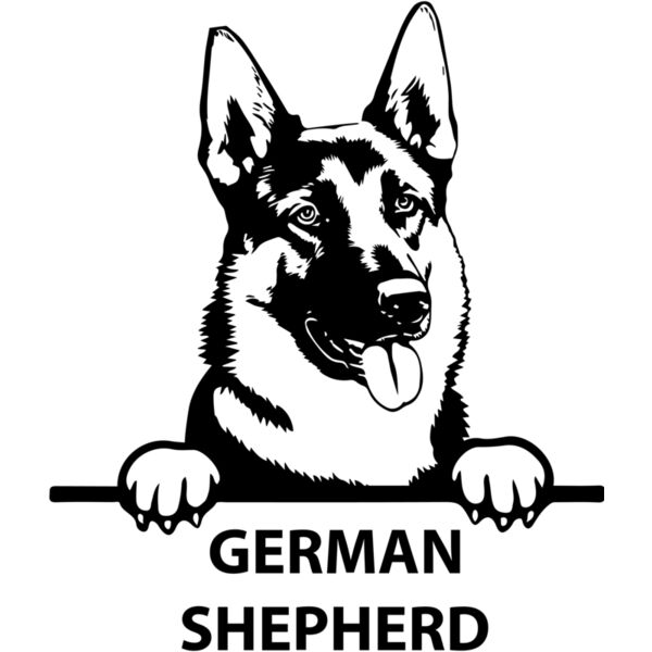 german shepherd 1  Miniaturansicht