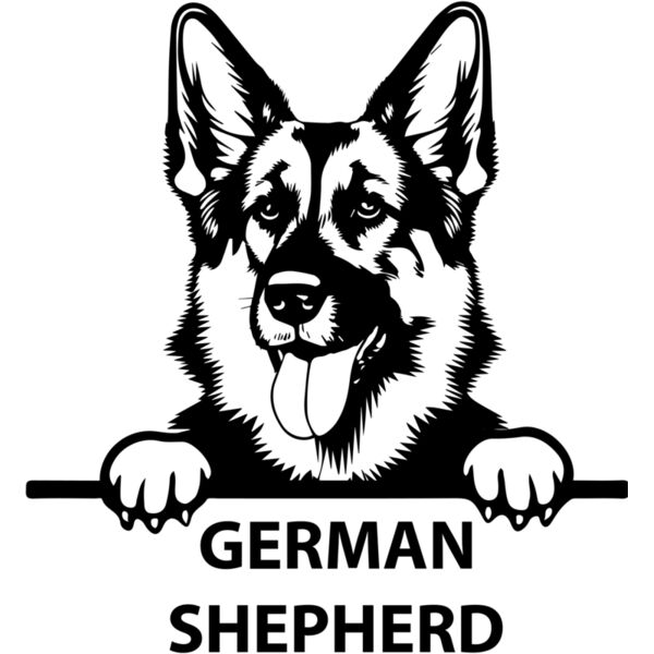 german shepherd 2  Miniaturansicht