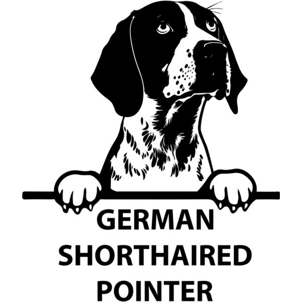 german shorthaired pointer  Miniaturansicht