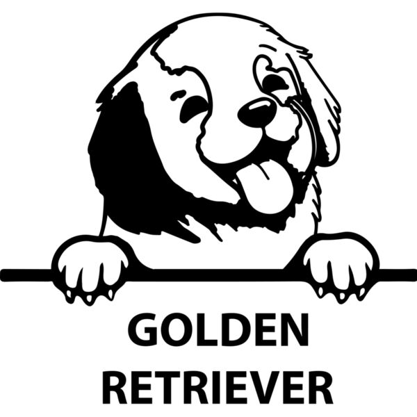 golden retriever 1  Miniaturansicht