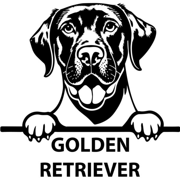 golden retriever 2  Miniaturansicht