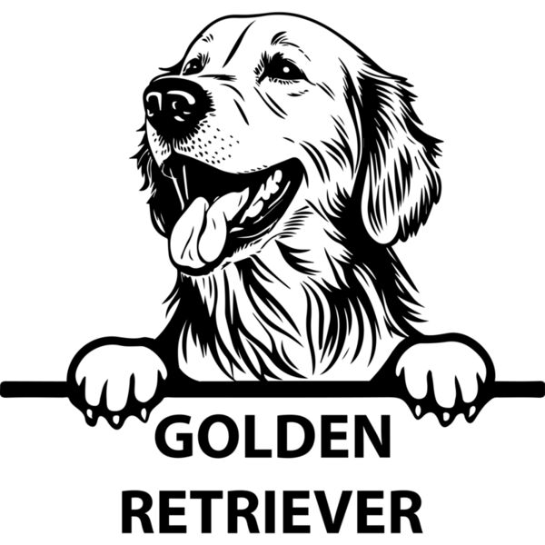 golden retriever  Miniaturansicht
