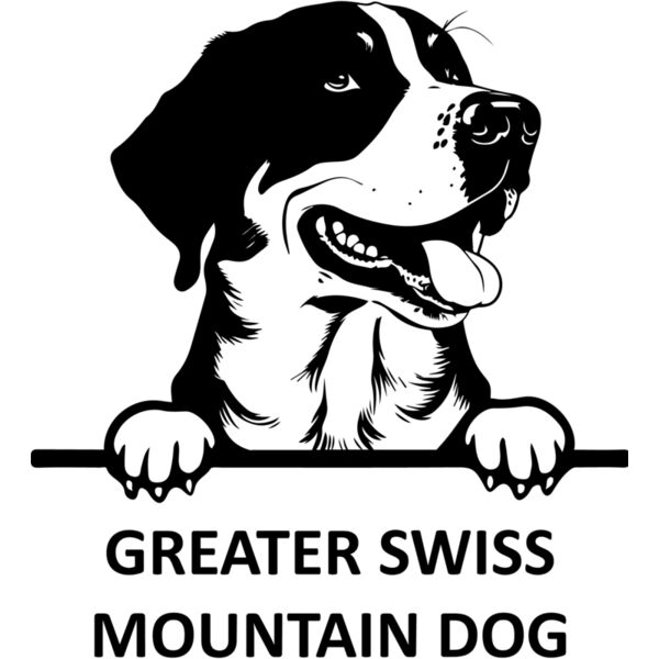 GREATER SWISS MOUNTAIN DOG 1  Miniaturansicht