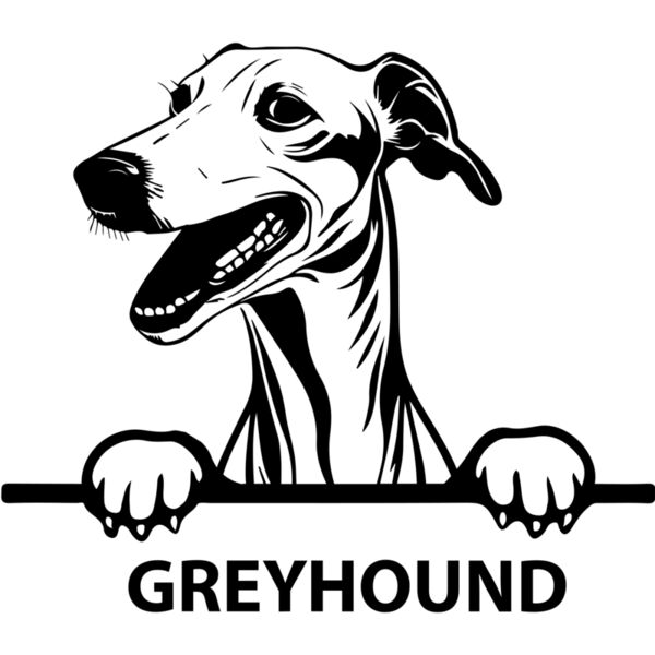 greyhound  Miniaturansicht