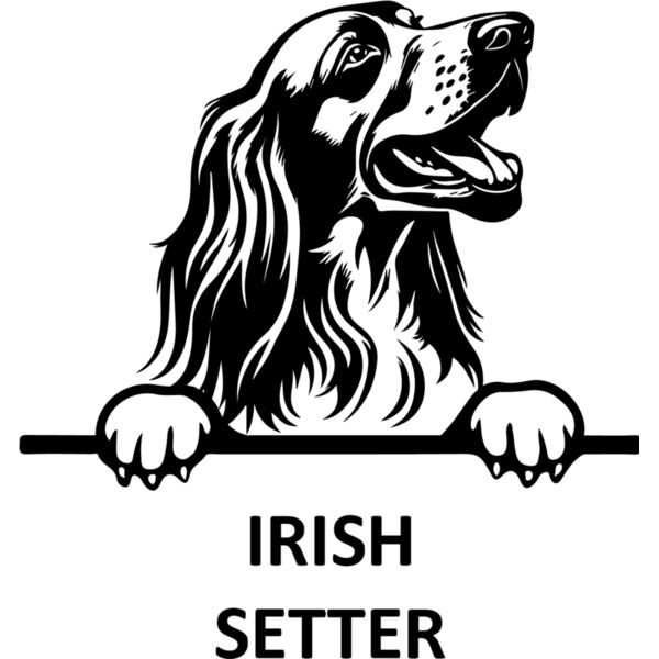 irish setter  Miniaturansicht