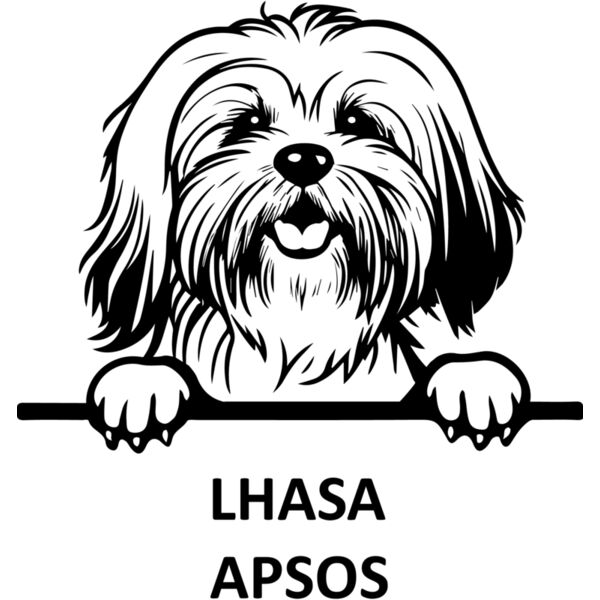 LHASA APSOS 1  Miniaturansicht