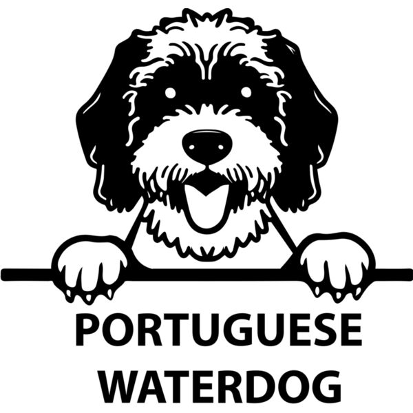 portuguese waterdog  Miniaturansicht