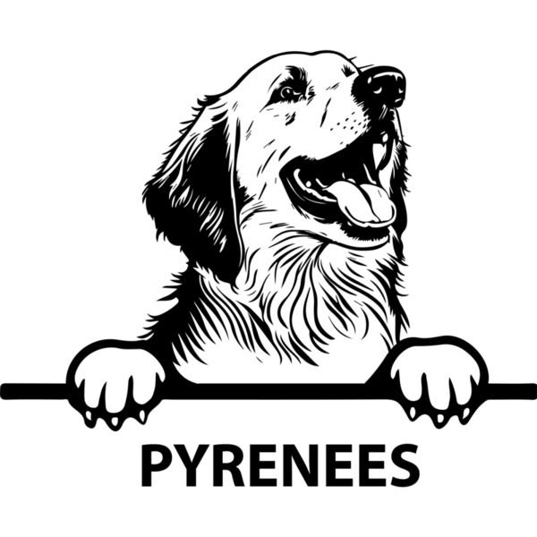 pyrenees  Miniaturansicht