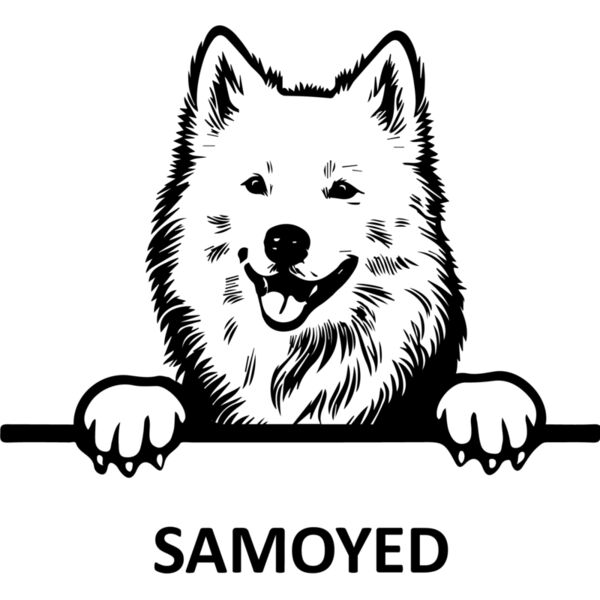Samoyed  Miniaturansicht