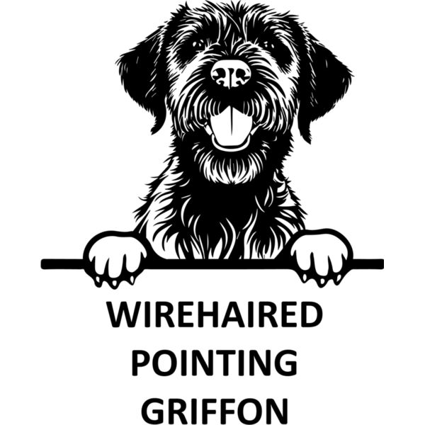 Wirehaired Pointing Griffon  Miniaturansicht