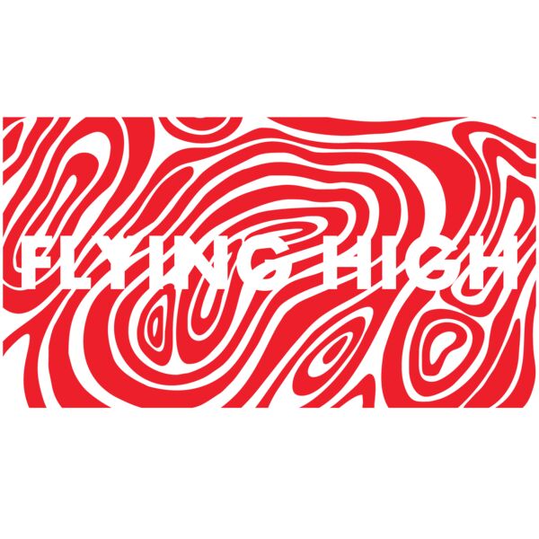 Flying high Miniaturansicht