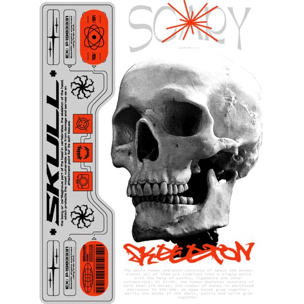 Skull Skeleton Miniaturansicht