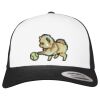 Flexfit Retro Trucker Cap 2-Tone Miniaturansicht