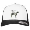 Flexfit Retro Trucker Cap 2-Tone Miniaturansicht